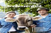 Reisemagazin Bregenzerwald, Vorarlberg - Sommer 2013