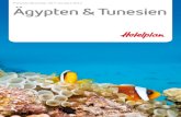 Hotelplan „gypten & Tunesien Preisliste November 2011 bis April 2012