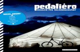 pedaliero No 28 "Reise Spezial 2011"