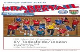 HSG Holstein Kiel/Kronshagen - SG Todesfelde-Leezen