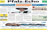 Pfalz-Echo 04/2012