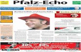 Pfalz-Echo 03/2013