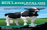 Bullenkatalog Holstein Dezember 2012 der CRI Genetics Vertriebsges. mbH
