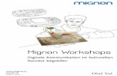 MIGNON Workshops