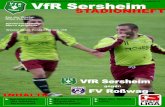 Stadionheft 5 Sersheim gegen FV Rosswag 2009/10
