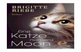 Brigitte Riebe - Eine Katze namens Moon