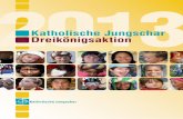Jahresbericht Katholische Jungschar / Dreikönigsaktion