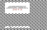 ISR rapporto annuale 2013
