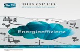 BID.op.ed Energiepolitik 1/2014 - Thema: Energieeffizienz