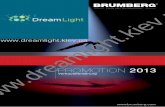 Brumberg flyer promotion 2013