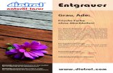 Diotrol Entgrauer, Flyer Juni 2014