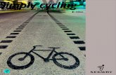 Segway E-Bikes 2015