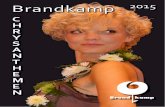 Catalog Crizanteme Brandkamp 2015