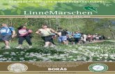 Linnémarschen 2015 - Deutsch