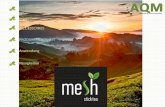 Mesh Online Katalog