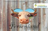 Reiseführer Ferienland im Schwarzwald