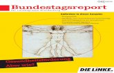 Bundestagsreport 06 | 2015