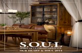 Soul katalog 2014 DE