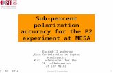 12. 02. 2014 Sub-percent polarization accuracy for the P2 experiment at MESA Eucard-II workshop „Spin-Optimization at Lepton accelerators“ Kurt Aulenbacher.