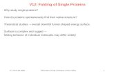 12. Lecture SS 20005Optimization, Energy Landscapes, Protein Folding1 V12: Folding of Single Proteins Why study single proteins? How do proteins spontaneously.