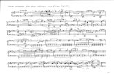 Wagner Eine Sonate Fur Das Album Von Frau MW