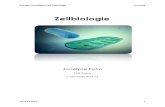 Grundlagen Zellbiologie