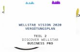 WELLSTAR VISION 2020 VERGÜTUNGSPLAN TEIL 2 DISCOVER WELLSTAR BUSINESS PRO.