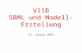 V11B SBML und Modell- Erstellung 22. Januar 2015.