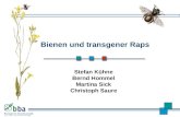 Stefan Kühne Bernd Hommel Martina Sick Christoph Saure Bienen und transgener Raps.