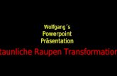 Wolfgang´s Powerpoint Präsentation Erstaunliche Raupen Transformationen.