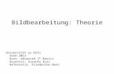 Bildbearbeitung: Theorie Universität zu Köln SoSe 2013 Kurs: Advanced IT-Basics Dozentin: Susanne Kurz Referentin: Friederike Nonn.
