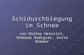Schidurchbiegung im Schnee von Dieter Heinrich, Andreas Rudigier, Anita Wibmer.