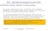 FU Berlin Constanze Donner / Ludwig Pohlmann 2014/20151 EC-Selbstorganisation 3. Nichtlineare Systeme: räumliche Strukturbildungen Die bisher betrachteten.