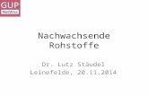 Nachwachsende Rohstoffe Dr. Lutz Stäudel Leinefelde, 20.11.2014.