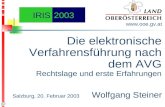 Die elektronische Verfahrensführung nach dem AVG Rechtslage und erste Erfahrungen  Salzburg, 20. Februar 2003 Wolfgang Steiner IRIS2003.