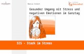 Marcus Eckert Gesunder Umgang mit Stress und negativen Emotionen im Ganztag SIS - Stark im Stress.