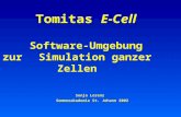 Tomitas E-Cell Software-Umgebung zur Simulation ganzer Zellen Sonja Lorenz Sommerakademie St. Johann 2002.