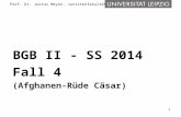 1 Prof. Dr. Justus Meyer, Juristenfakultät BGB II - SS 2014 Fall 4 (Afghanen-Rüde Cäsar)