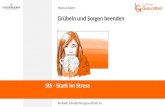 Marcus Eckert Grübeln und Sorgen beenden SIS - Stark im Stress Kontakt: info@lehrergesundheit.eu.