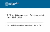Pflicht¼bung aus Europarecht 14. Mai2014 Dr. Marie-Therese Richter, BA LL.M