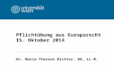 Pflichtübung aus Europarecht 15. Oktober 2014 Dr. Marie-Therese Richter, BA, LL.M.