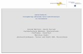 LowCost-Outdoor-EL: Kostengünstige umfassende Vorort-Qualitätsanalyse von Solarmodulen Konrad Mertens, David Pascual Fachhochschule Münster, Photovoltaik-Prüflabor,