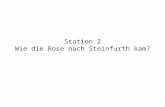 Station 2 Wie die Rose nach Steinfurth kam?. Etwa 30 Mio. Jahre alte Fossilienfunde mit Abducken von Rosenblättern- vermutlich bisher älteste Zeugnis.