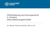 Pflicht¼bung aus Europarecht 3. Einheit Dienstleistungsfreiheit Dr. Marie-Therese Richter, BA LL.M