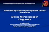 Praxis für Nierenerkrankungen und Diabetes Bochum Weiterbildungsstätte nephrologischer Zentren Rhein-Ruhr Akutes Nierenversagen Diagnostik Dr. Lutz Fricke.