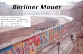 Berliner Mauer Работу выполнила: Беляева Анна, ученица 10 А класса, МБОУ «СОШ №8», г. Ступино, Московская область.