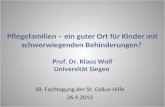 Pflegefamilien – ein guter Ort für Kinder mit schwerwiegenden Behinderungen? Prof. Dr. Klaus Wolf Universität Siegen 28. Fachtagung der St. Gallus-Hilfe.