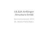 I.B.&IA Anfänger Structura limbii Sommersemester 2015 Dr. Ileana-Maria Ratcu.