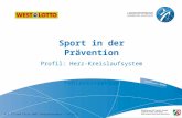 Sport in der Prävention Profil: Herz-Kreislaufsystem Fehlerkorrektur 4.1.3 P-HuB Folie 2007 Fehlerkorrektur - Folie 1.