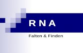 R N A Falten & Finden. Volker H¤hnke: RNA - Falten & Finden2 œbersicht: RNA falten ï‚¨ Sekund¤rstrukturen und Funktion ï‚¨ Algorithmus zur RNA-Faltung von